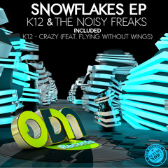 K12 & The Noisy Freaks - SnowFlake (Original Mix) *** OUT NOW ***