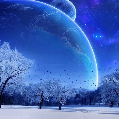 Freedom Fighters - 2012 Winter Mix