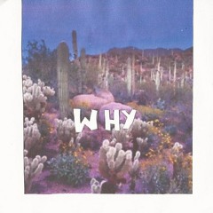 Why | ShaShaheed