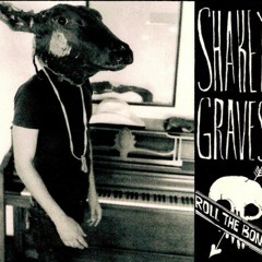 Shakey Graves - Bully's Lament