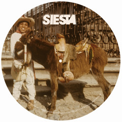 Donkey Show , Halo & Paluka w/ Adam Pickrell "Hear the Tears" Alland Byallo remix