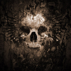 Bush "Machine Head" drums by Matt Moran