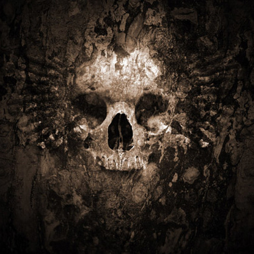 Bush "Machine Head" drums by Matt Moran