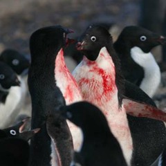 Penguin Punch (v1.2)