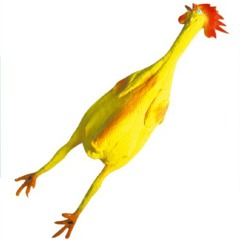 Tandoori Chicken