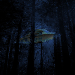 Feel The Crowd (Feat. Karla Irish)