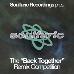 Hardsoul feat. Ron Carroll - "Back Together" (Johnny T Dub Mix)