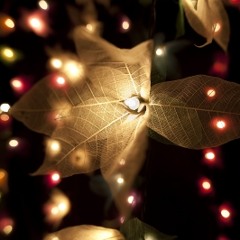 The Fairies That Stopped Beating Around The Bush (original version)