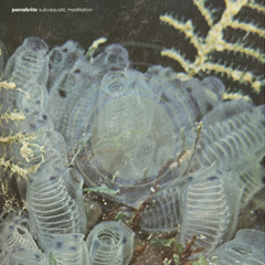 Panabrite - Neptune Visions in the Crystal