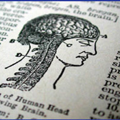 Nerve control