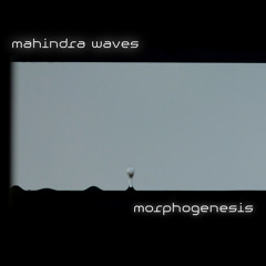 mahindra waves - Dna