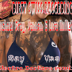 Michael Gray, Danism & Lisa Millett - Say Yes( Electro Doctors Remix)