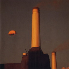 Pigs On The Wing (Guitar Bridge)