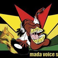 ¥ BADA BAD (DUBPLATE SELECTA TCHAD) - Mada Voice aka Jizzy feat Lieutenant, Valley & Spart Mc ¥
