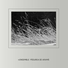 Petre Inspirescu (TT Ensemble) - Mirror Light (IDK remix )