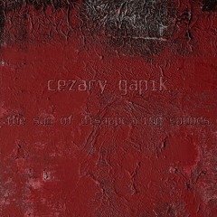 Cezary Gapik - The Sum Of Disappearing Sounds (CD sampler)