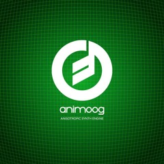 Rain | Animoog and DM1