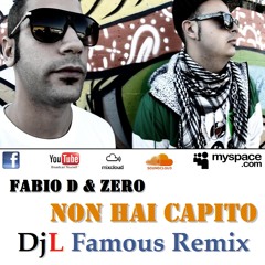 Fabio D & Zero - Non hai capito (DjL Famous Remix)