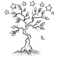 Shaking Tree w/Timothy Revelator