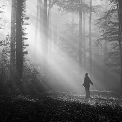 BIZZY-BIZ-HOFFNUNG(liebeSOLLheilen)