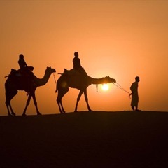 HEDI & FELIX - Camel walk (Original mix) (unsigned)