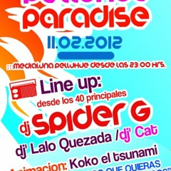 SPOT 3 PELLUHUE PARADISE kOkO dJ edit 2012