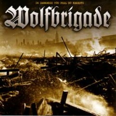 Wolfbrigade- In darkness you feel no regrets (In darkness you feel no regrets, 2003)