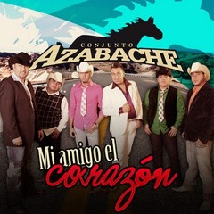 Conjunto Azabache Mixx