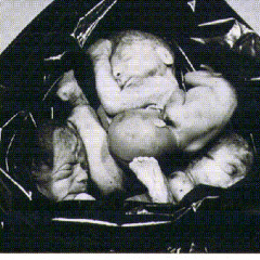 ††WÁZßOY†† -Senter .Full Clip