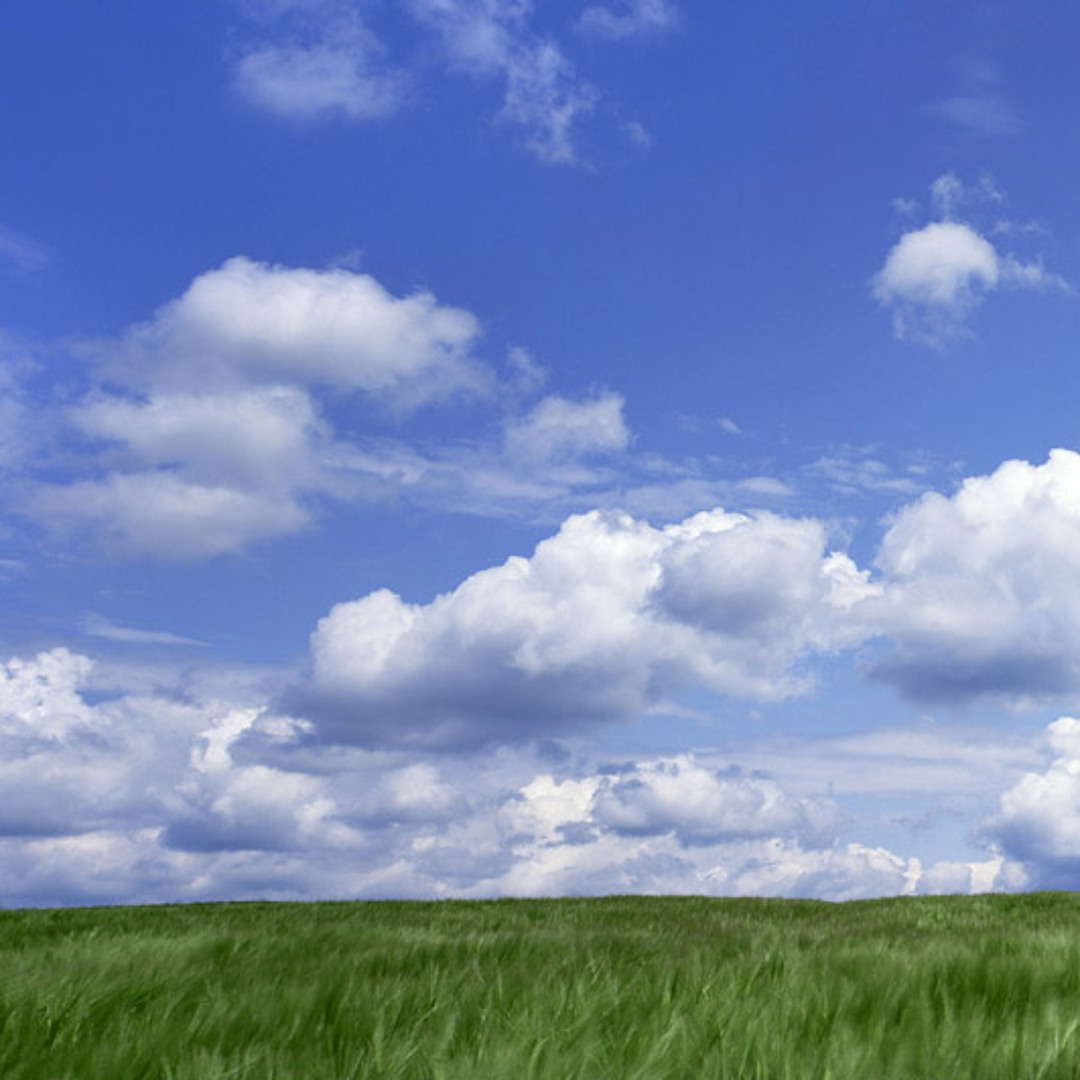 Sea of Clouds アーティストプルーフ Sea of Clouds アーティストプルーフ