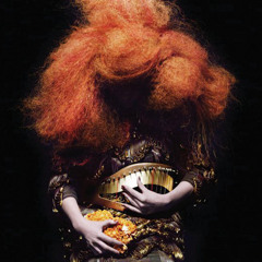 Björk - Moon (!ngvar RMX)