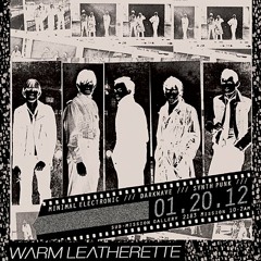 Warm Leatherette 1.20.2012 (Live DJ Set)