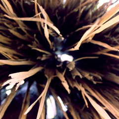 Focus Then The Dark Green