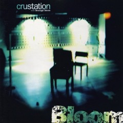 Crustation "Flame"