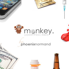 MONKEY by PhoenixNormand