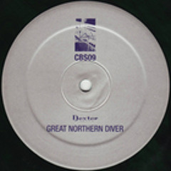CBS09 Dexter - Great Northern Diver