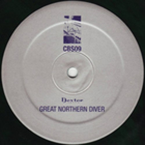 CBS09 Dexter - Great Northern Diver