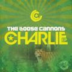 The Loose Cannons - Charlie Bit Me - Birdee rmx (clip)