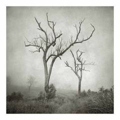 When I Write The Letters Down For You