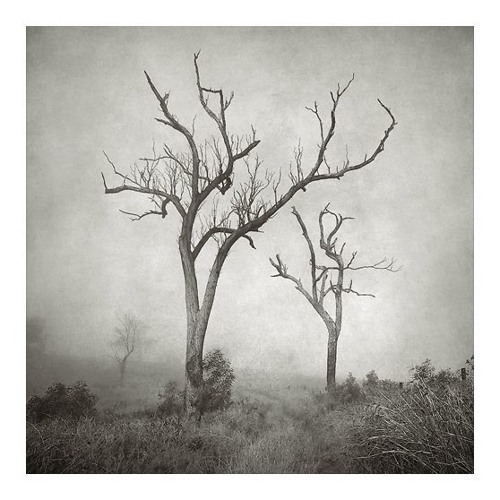 When I Write The Letters Down For You