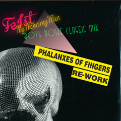 Feist - My Moon My Man (Boys Noize Classic Mix) (Phalanxes of Fingers re-work)