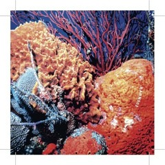 BARN 002 A2. Clinton Hill