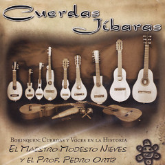 CD Borinquen: Cuerdas y Voces en la Historia (demo tracks)