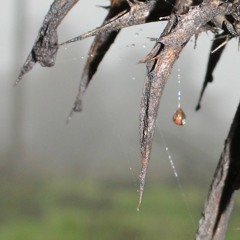 Blue Hands by L. Cooper