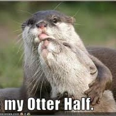 Clown fuckin love BITCH