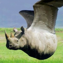 Neocortex - Wat Een Teringzooi!