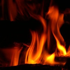 Mr Chango Real Fyah Disco Nueva Generacion