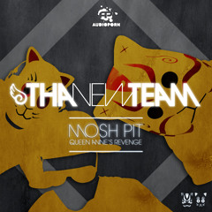 Tha New Team - Mosh Pit - Audioporn Records - clip