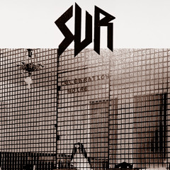 S/V\R - Une joie qui finit