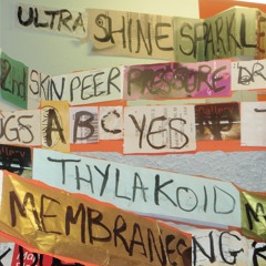 Panic But Those Who Did Flourished